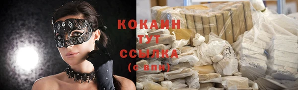 спиды Зеленокумск