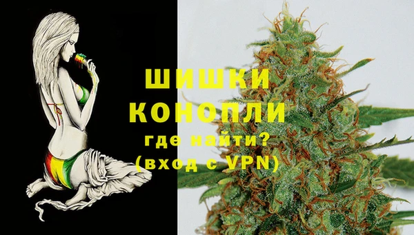 спиды Зеленокумск