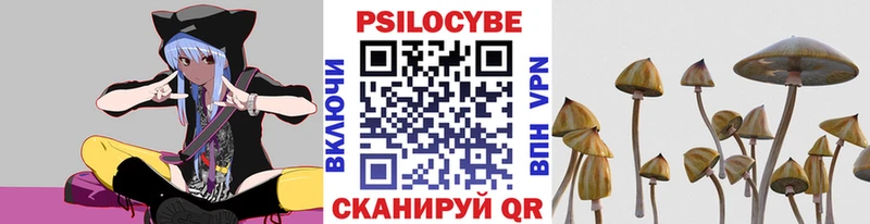 гидра вход  купить   Петров Вал  Галлюциногенные грибы MAGIC MUSHROOMS 